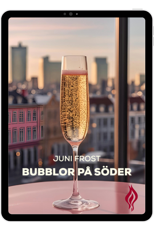 Bubblor på söder omslag (600 x 900 px) (11)